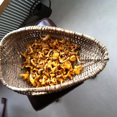 Casa Collina Disentis