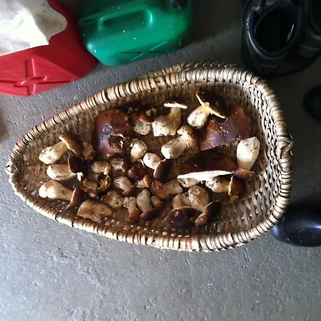 Casa Collina Disentis