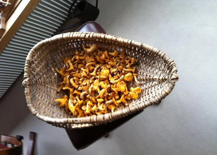 Casa Collina ديسنتس