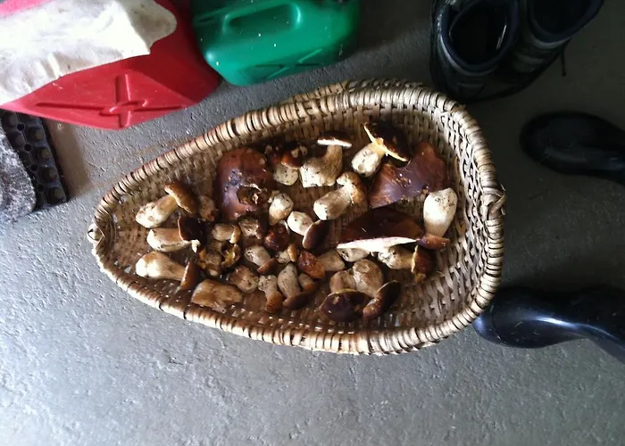 Casa Collina ديسنتس